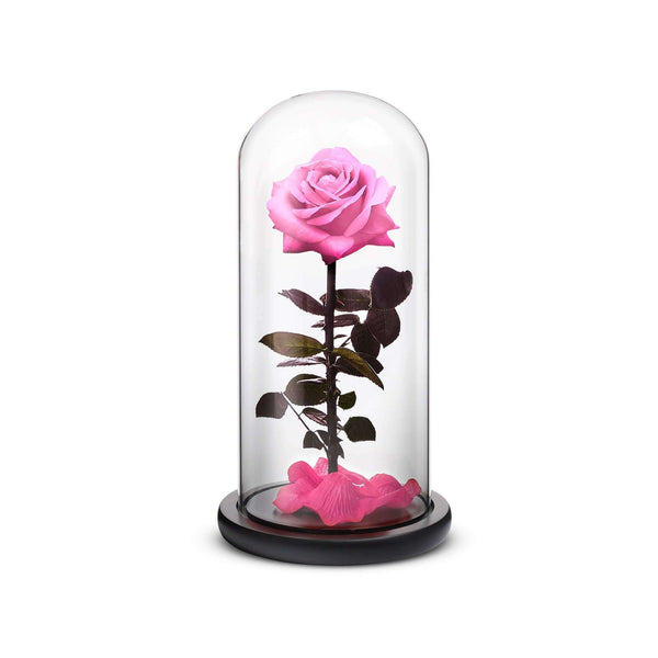 Everlasting Rose in a Luxurious Crystal Glass Dome – ROSEPHORIA